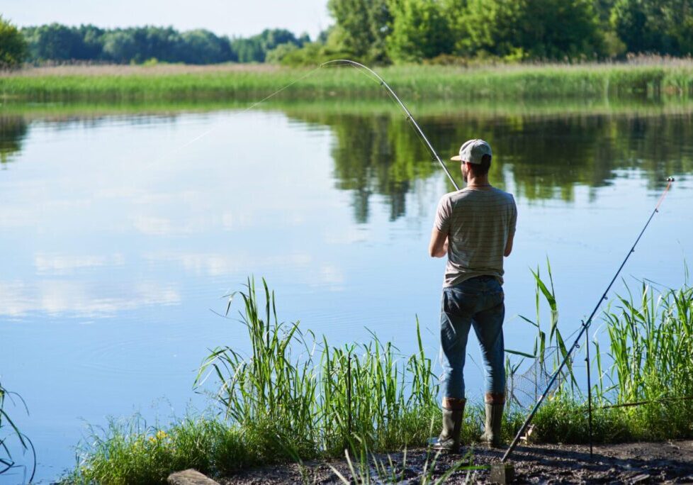 Person in a cap fishing at a lakeside, surrounded by greenery and calm water. Another rod is propped up next to them.